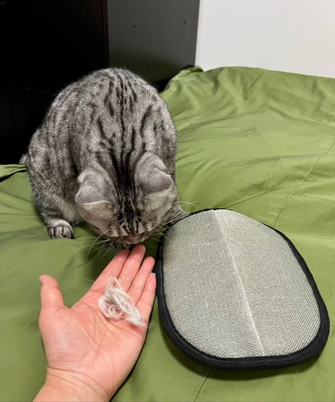 Pet Hair Remover Mitt Pet Hair Remover Gloves Deshedding Brush Glove For Dog Cat Rabbit With Long Short Curly Hair